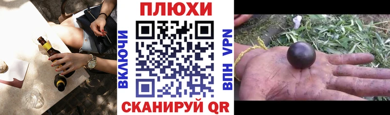 omg вход цены Бикин ГАШ хэш