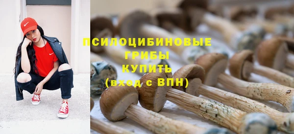 герыч Протвино