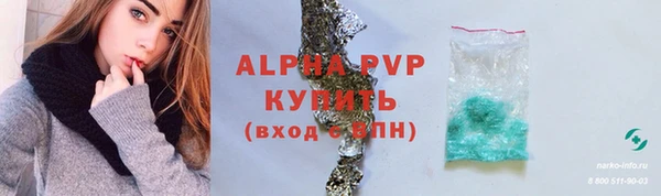 стаф Арсеньев