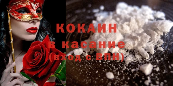 стаф Арсеньев