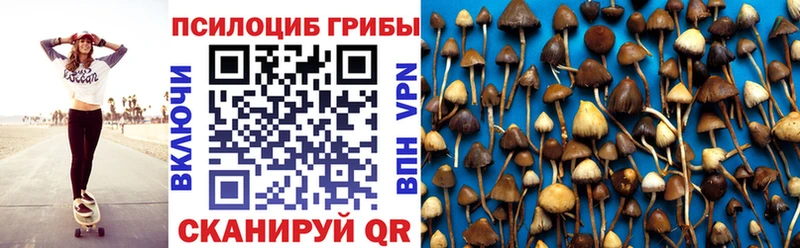 Галлюциногенные грибы GOLDEN TEACHER  OMG как зайти  Бикин 